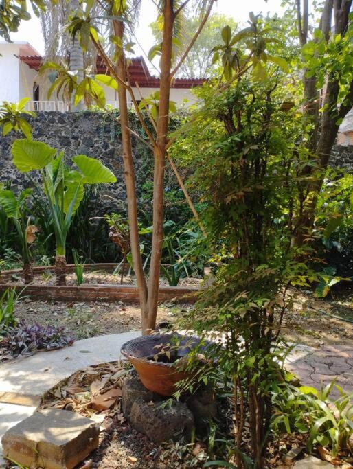 Linda Casa En Tepoztlan Centro 1 Villa Exteriör bild