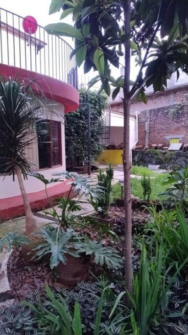 Linda Casa En Tepoztlan Centro 1 Villa Exteriör bild